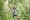 A girl throws her arms in the air celebrating as she rides a Go Ape zip wire on a fun half term activity for kids