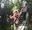 A small girl smiles as she makes her way across a treetop obstacle whilst her mother watches on