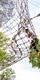 A girl swinging into a Go Ape Tarzan Swing like the one at Black Park, part of this competition prize