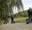 group of people on segways driving along track by forest.