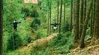 Lake District Zip Wire at Go Ape Grizedale