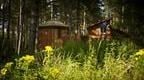 Forest Holidays cabin at Sherwood Pines