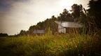 Forest Holidays cabin at Thorpe near Go Ape Thetford Forest at High Lodge Thetford