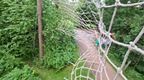 women in white flying into tarzan swing